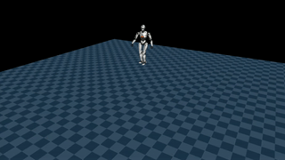 sim2sim